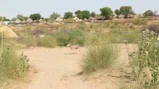 DesertLife #VillageVibes #SandsOfTime #CommunitySpirit #NomadSpirit #AridAdventures #HiddenOasis