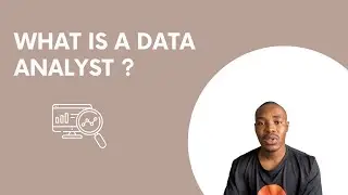 What is a data analyst?