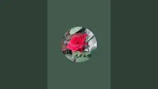 Kambi Kolam  is live#watchmylive