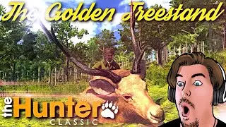 Taking Down a GIANT Leaderboards Sambar Deer From 
