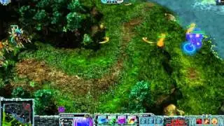 NizCast - Ep7 - Warding 101