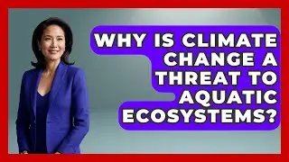 Why Is Climate Change A Threat To Aquatic Ecosystems? - The Student Atlas