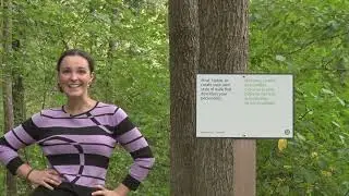 A Montgomery County artist uses a hiking trail to create art