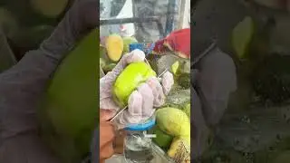 Incredible June Plum Cutting Skills &ndash; No One Does It Like This!