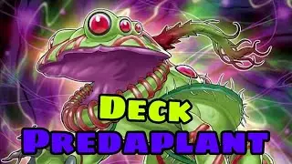 Predaplant Deck - Fusion Domination with Predatory Power! | Yu-Gi-Oh Master Duel