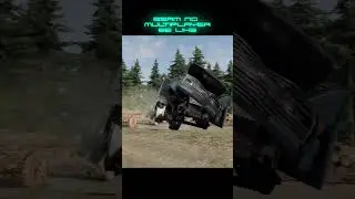 Beamng Multiplayer be like