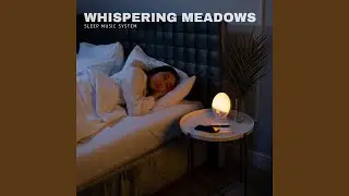 Soothing Journey