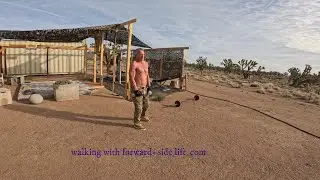Kettlebell Archer Press, Walking Dumbbell Archer Front Side Lifts, and Archery - Age 72