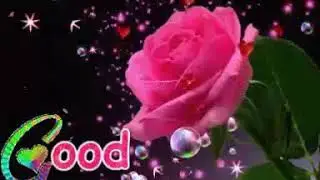 Good night GF