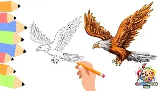 How to draw a Bald Eagle | Easy Step-by-Step Drawing and Coloring for Kids