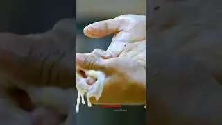 Power Of Food Inspector #shorts #trending  #virals