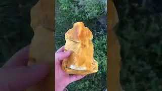Amber ukraine for sale
