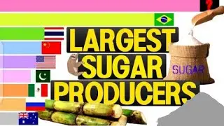 World's Largest Sugarcane Producing countries 1960 To 2022 | Sugar production countries in the world