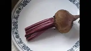 Peeling Beets Fast