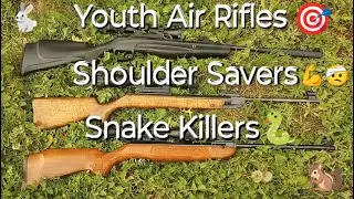 Easy Shooting Break Barrels For Sore Shoulders & Pests