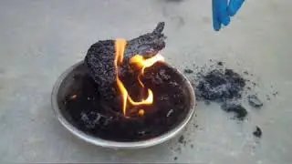 Science Project - Black Carbon Snake