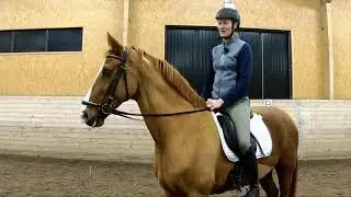 Gömmargårdens Ridsällskap. Clinic 2020 - Avs.6 Karin och Winnie