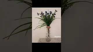 DIY|| bottle decorations #diy #bottlepainting #bottleart #diyplanter #artandcraft