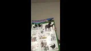 Farm animals give us food and products