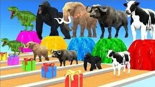 wild animalsfountain crossing with gorillaPoint animals gorilla cow lion elephant tiger
