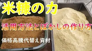 米糠が秘めた凄い力を活用しない手はない！