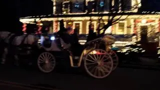 Horse clomping II
