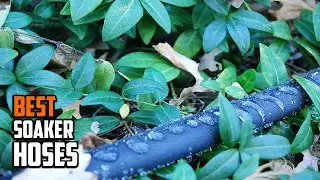 Best Soaker Hoses in 2025 (Top 10 Picks)