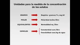 Clase de Repaso SHYSM / Introducción a la Función Renal y Filtrado Glomerular