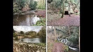Badger Dingle Waterfall & sandstone caves