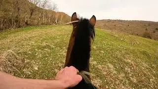 Most Oddly Satisfying Video EVER!