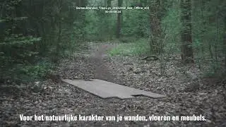 Trae Lyx; voor het natuurlijke karakter van je wanden, vloeren en meubels.