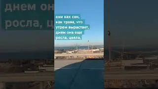 Они как сон. Псалтырь 89:5-6