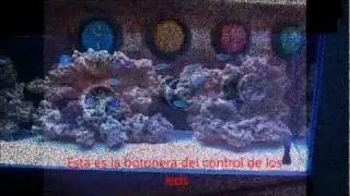 Pantalla de leds para acuario marino