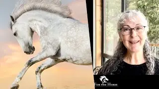 How To Get A Horse Off The Forehand