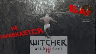 The Witcher 3 - Геральт не забирается на уступы (устранение бага) и мод Debug Console Enabler