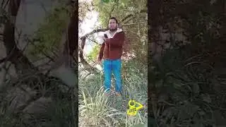 Videomensaje de 