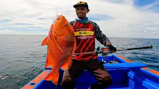 Ikan Target Size Babon-Babon Landed Lagi || Seahawk Ocean Infinity !!