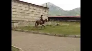Василек 30 августа