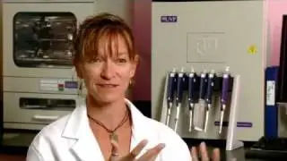 Translational Research on Aging and Chronic Disease Laboratory