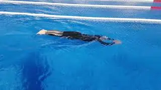 Swimming Without Stress: Cheryl's Breaststroke