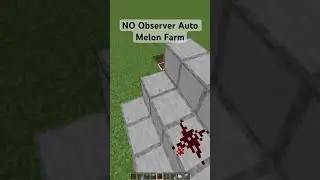 NO Observer Auto Melon Farm