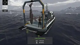 Chillin In Norway | Fishing Planet!  BIG SHARKS