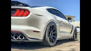 GT350 American Racing Headers