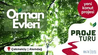 Saban Orman Evleri | Huzur, Yatırım ve Doğa Bir Arada