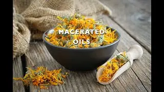 4 MACERATED OILS