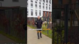 #страхование