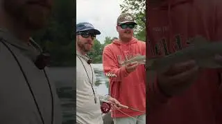 First-Time Fly Fishing for Trout on Arkansas' Little Red River