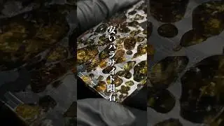 闇が深すぎる隕石 #隕石 #メテオライト