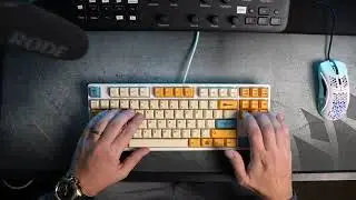Durgod Taurus 320 | Gateron Blank Inks (lubed) | HK Gaming Bee Keycaps | Sound Test