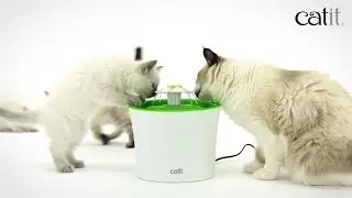 Catit Flower fountain - ES